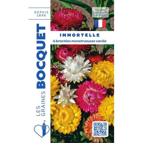 Immortelle à bractées monstrueuses variée - 0,8g