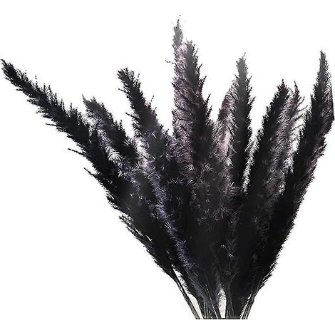 30pcs Herbe de pampa noire, 17 pouces naturel séché moelleux petites tiges pour la décoration de mariage à domicile Fleur Ar (1/5)