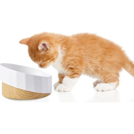 Gamelle Chat , Gamelle Surélevée pour Chat et Chien, Bol de Nourriture pour Animaux de Compagnie Décoratif/Antidérapant/Anti-vomissements, Distributeur de Croquettes pour Chats et Petits Chiens- (1/4)