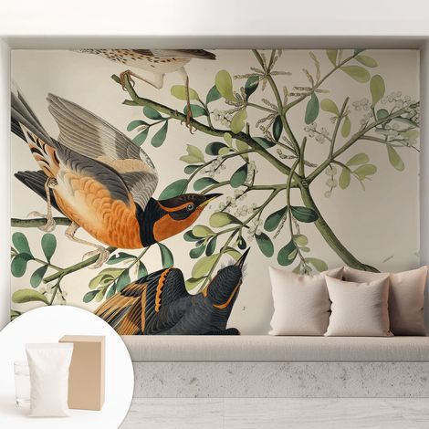 Carta Da Parati Non Tessuto - Con Colla Gratuita - Con Motivi Moderni - Design Elegante Per Pareti Uccelli colorati 208x146 cm (1/5)