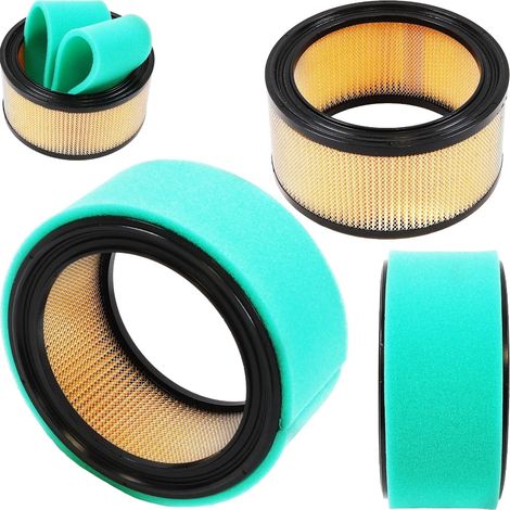 Filtre à air pour moteurs BRIGGS&STRATTON 394018S, 394018, 392642 avec pré-filtre (1/5)
