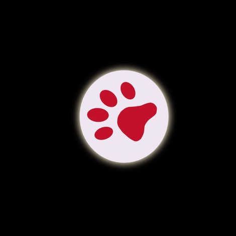 Nobby LED Pointer PAW Katzenspielzeug (1/2)