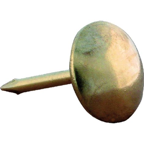 BULLETTE PER TAPPEZZIERE mm 12 - pz 20 ottonate lisce - Blister Koncreto