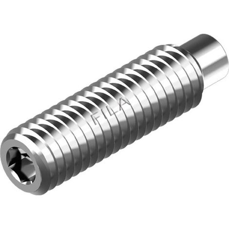 100 Vis Sans Tête Six Pans Creux Bout Téton 8 x 16 mm - ISO 4028 - DIN 915 - NFE27-182 - UNI 5925 - Inox A2 - D-Work