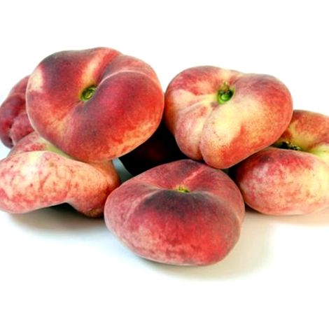 Frutal Melocot�n Paraguayo. 80 - 100 Cm