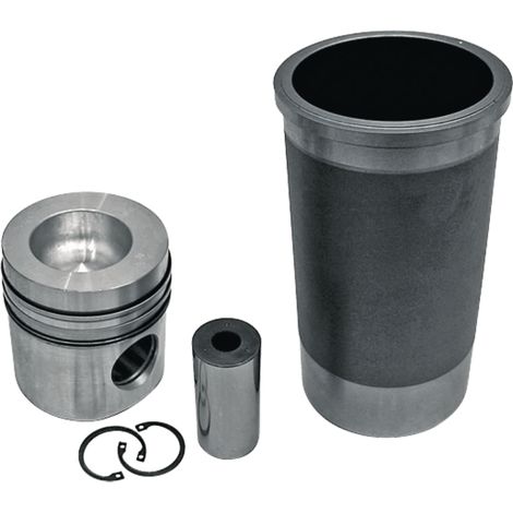 Kit di riparazione motore CASE DT-402 3218915R95 (1/2)