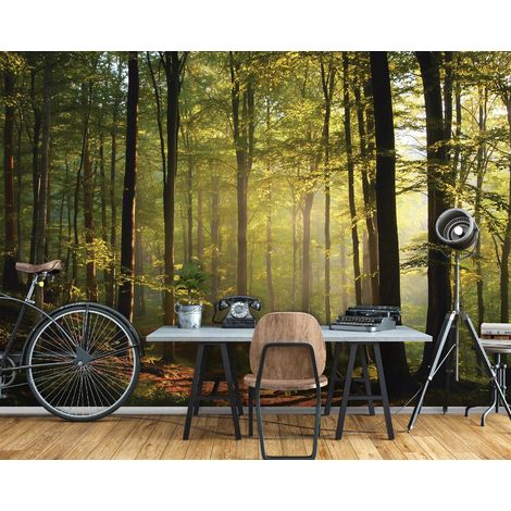 Fototapete Wald sonnig Bäume Natur, für Wohnzimmer und Schlafzimmer, 150 x 105 cm – Komplettset inkl. Kleister & Anleitung (1/5)