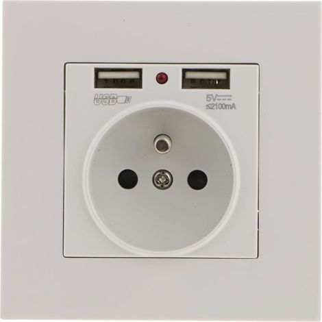 Prise Encastrable Electrique Murale avec Double USB 5V/2100mA, avec 2 Ports Pratique et Manialble (1/5)