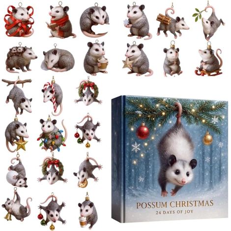Calendrier de l'Avent 2025, décoration de sapin de Noël en acrylique 2D – Compte à rebours de 24 jours avec pendentif souris de mer, pour hommes, garçons, filles, adolescents, femmes, maris, fils, fil (1/5)