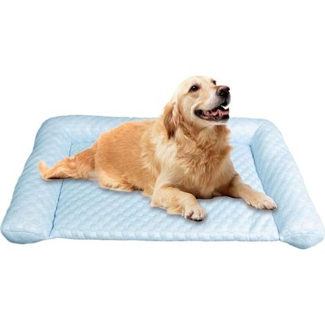 Tapis Rafraîchissant pour Chiens - Coussin Rafraîchissant (1/5)