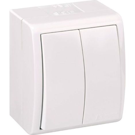 Doppelschalter Oberflächenmontage 10ax 250V IP54 Weiß