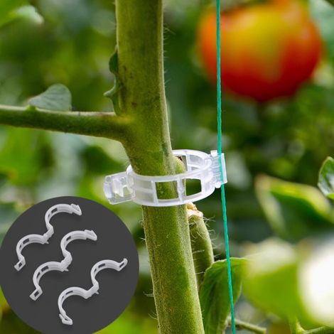 Clips de fixation pour plantes et arbres fruitiers, attaches de maintien pour vignes et tiges grimpantes, anneaux de soutien pour plants et légumes, lot de 200 pièces (1/4)