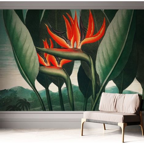 Carta da parati autoadesiva - Fotomurale adesivo - soggiorno moderno - resistente - Fiori esotici 312x219 cm (1/5)