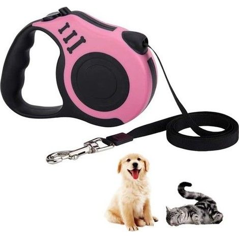 Laisse Enroulable, Laisse pour Chien 5 m, Laisse pour Chien, Laisse pour Chien de Petite Taille, Laisse pour Chien Extensible, (1/5)