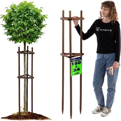 Soporte para plantas, material de madera de haya, 150 cm de alto, 28 mm de diámetro, diseño triangular, montaje rápido. (1/5)