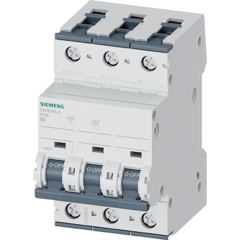 Interruttore Siemens 5sy63066 6 A 3 poli