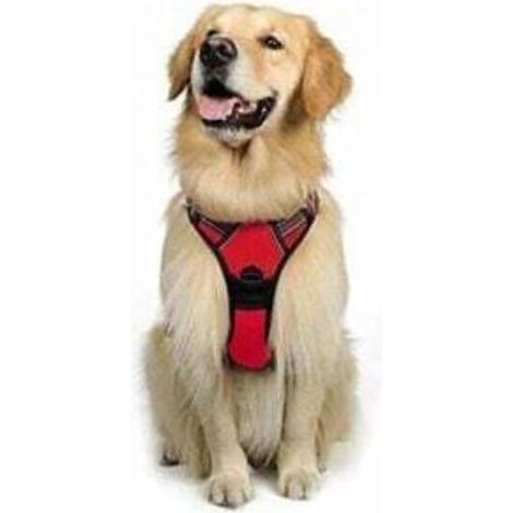 Harnais chien réglable anti-traction rouge avec réflecteurs, taille M pour races grandes comme American Staff ou Border Collie (1/5)