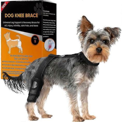 Attelle de genou premium pour chien. idéale pour les ligaments croisés antérieurs déchirés. Soutien et récupération de la patte arrière. avec sangles réglables et confort optimal.