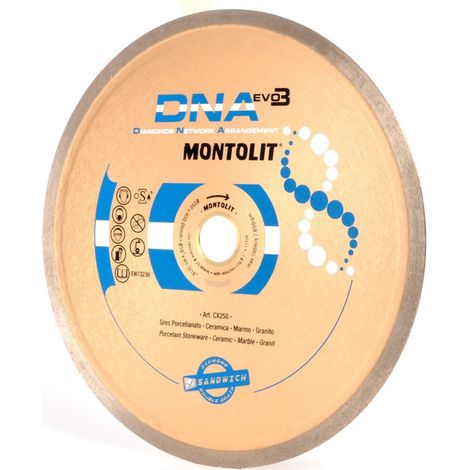 DISQUE DE DIAMANT 250 MM POUR GRŽêS EMAILLŽë ET DELICAT MARBRE GRANITE MONTOLIT DNA CX250