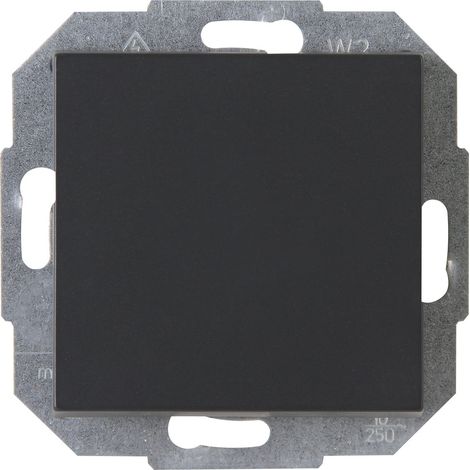 1 pièce Insert Interrupteur/inverseur ATHENIS anthracite 587715087