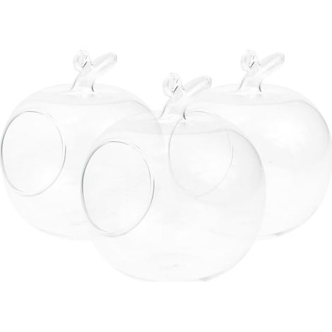 Apfel Vase aus Glas für Hydrokultur Tischgewächshausflasche