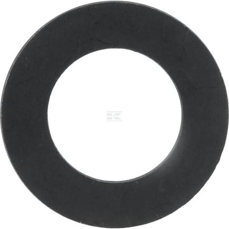 Arandela plana LONCIN 3804505600001 (1/2)