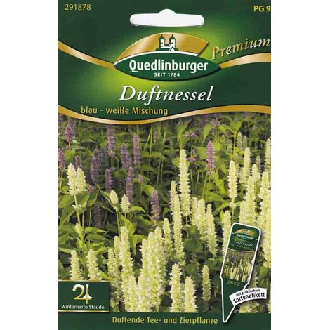 Quedlinburger Duftnessel blau-weiße Mischung - Premium Blumensamen (1/2)