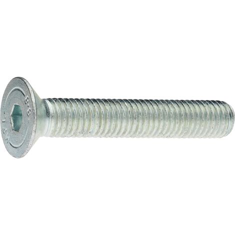 Reidl ISO 10642 Senkschrauben, Innensechskant M 24 x 100, 8.8 verzinkt (1/4)