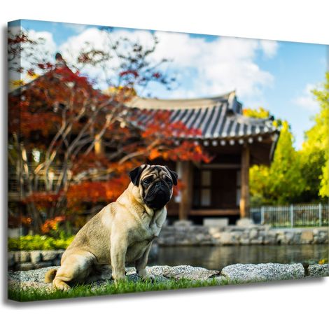 Leinwanddruck Tiere Mops Hund 40x30 cm