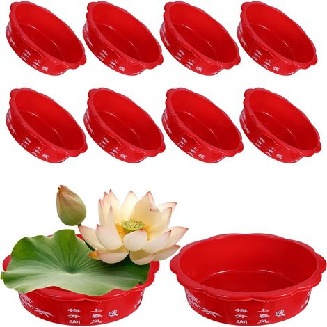 de 10 Pots Hydroponiques en Plastique pour Narcisses N (1/5)