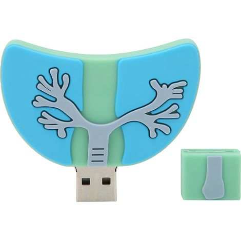 Clé USB 2.0 64GB - Stockage de Données Innovant et Pratique pour Cadeau Familial ou Professionnel (1/5)