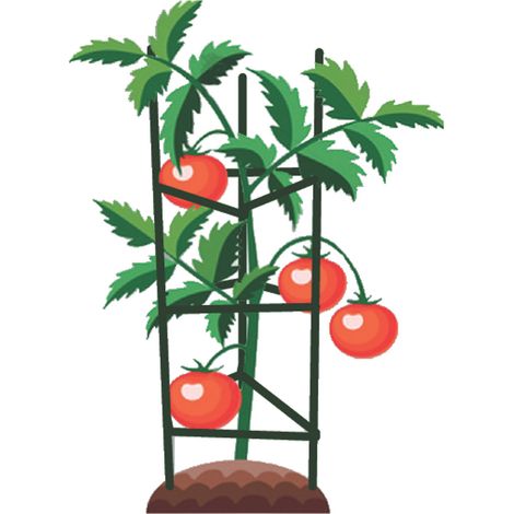 GABBIE P/POMODORI ACCIAIO-PE H.120CM