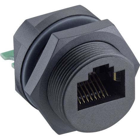 Lumberg 2543 04 Connecteur mâle modulaire 168223 embase femelle à encastrer Nombre de pôles 8 1 pc(s