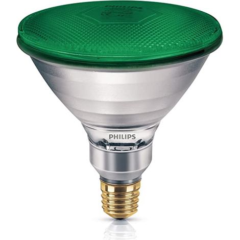 Lampada a incandescenza 80W E27, Verde