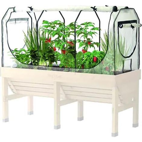 VegTrug Set di telaio per serra medio e copertura multipla, 180 x 72 x 83 cm, Bianco/Legno (1/2)