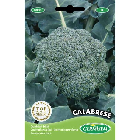 graines Chou Brocoli vert CALABRESA (1/2)