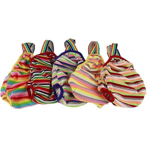 1 culotte pour chienne (1/3)