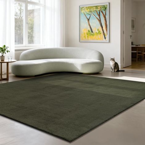Tapis Moderne Moelleux à Poils Courts, antidérapant, Lavable Jusqu’à 30°C, Super Doux, Aspect Fourrure, pour Salon et Chambre, décoratif, Vert, 240 x 240 cm (1/5)