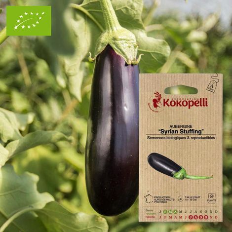 Aubergine Syrian Stuffing