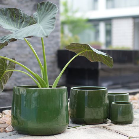 Set di 4 vasi per piante in ceramica Ø 33/26/20/15 cm verde scuro lucido OKWISH (1/5)