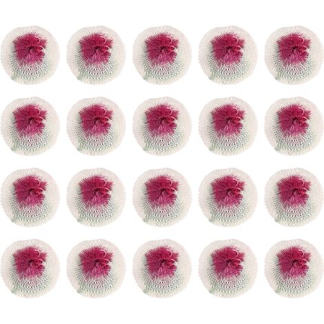 20 Pièces Manteaux de Lanterne de Camping 7CM Double Tête Double Trou pour Réchauds à Gaz et Lampes à Pétrole (1/5)