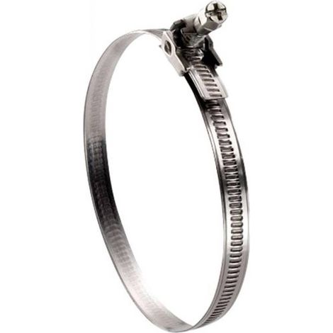 25 Colliers de Serrage à Tête Basculante Bande Non Perforée 9 mm 40-90 mm - W2 - D-Work (1/4)
