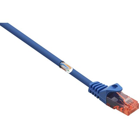 Renkforce RF-5043878 RJ45 Câble réseau, câble patch CAT 6 U/UTP 0.25 m bleu avec cliquet d'encastrem (1/4)