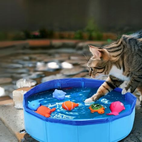 Katzenpool mit 6 Fischen, Katzenspielzeugset + gratis E-Book