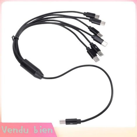 Garosa Câble USB C vers USB C Câble Répartiteur USB C 6 en 1, Câble de Chargement Multiple de 1,6 Pieds pour Tablette video piece (1/4)