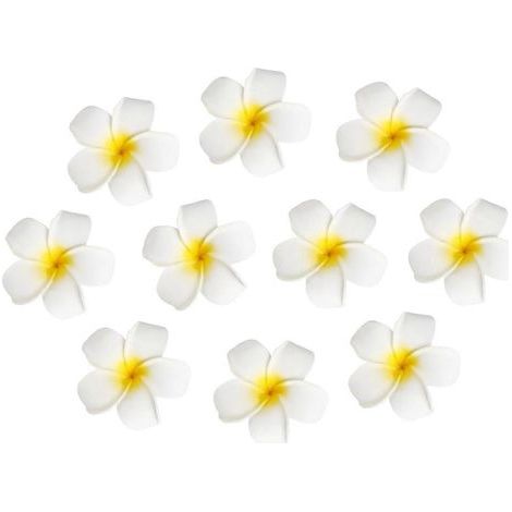 FRCOLOR Lot de 10 pinces à cheveux de 7 cm, motif fleur hawaïenne, œuf factice, coiffe pour fête hawaïenne sur la plage (blanc et jaune)-7.00X7.00X4.50CM (1/3)