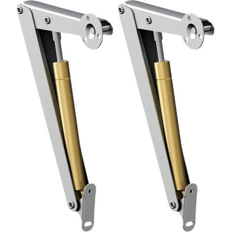 Vérins à gaz hydrauliques – Supports pour portes de placard – Tiges pneumatiques télescopiques – Supports de 100 N – (Lot de 2)