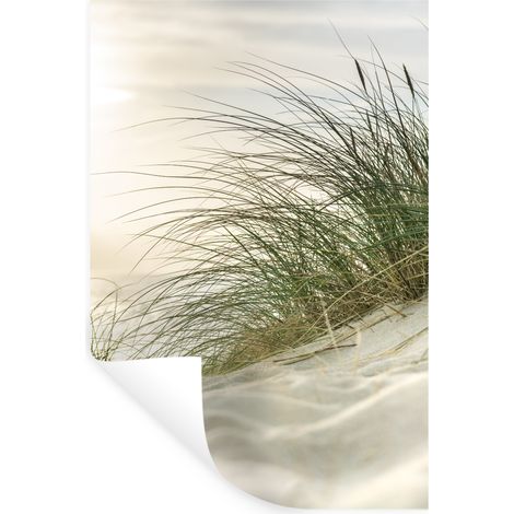 Wall Sticker Dunes with marram grass under the sun of the German national park Schleswig-Holsteinisches Wattenmeer 40x60 cm