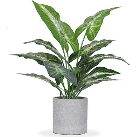 Plante Artificielle - 16 Pouces - Pot En Pâte À Papier - Pour Bureau Étagère Salle De Bain Intérieur - 1 Pièce (1/5)