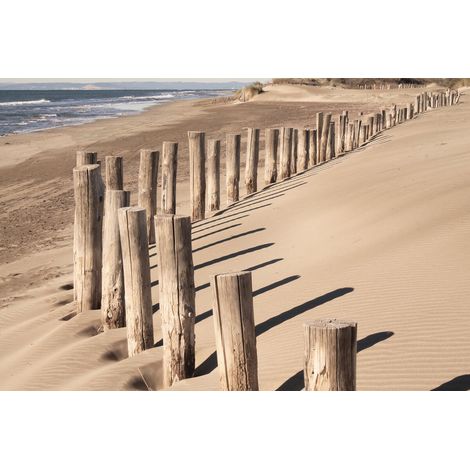 Tableau sur toile chemin bois 30x45 cm - Impression sur Toile Murale Décorative - Image imprimée en HD sur Toile - Toile sur Châssis en Bois FSC - Fabriqué en France
